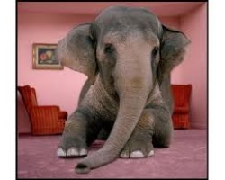 The Elephant In The Foreclosure Fraud Room: Second Liens