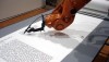 Signature Scanner “Forgetaboutit”, Meet A “Unique” Robo-Signer!