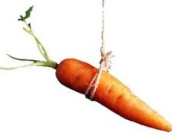 Save The Carrot Dangling of Failed HAMP, We Don’t Want It