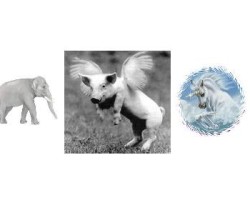 TAIBBI-ROSNER-SPITZER | re: GOLDMAN Email “UTOPIA” a White Elephant, Flying Pig and Unicorn