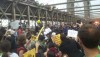 BREAKING WATCH LIVE: Thousands Block Brooklyn Bridge #OccupyWallStreet