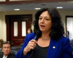 Opponents challenge Rep. Passidomo on foreclosure bill that would have hurt, detroy homeowners in Florida