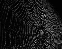 Oh, New Century…What a wicked web you weave…