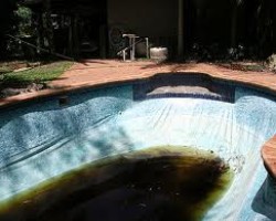 Second Studio City neighbor gets West Nile virus, blames swampy pool at foreclosed house owned by U.S. Bank, serviced by BofA