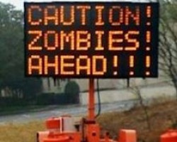 ‘Zombie’ homes haunt Florida neighborhoods