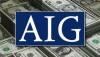 AIG Bailout Trial and the Deadbeat Borrower Defense