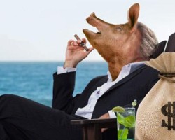 Piggish bankers went whole hog to abuse consumers in 2014
